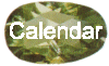 calendarbutton.gif (5388 bytes)